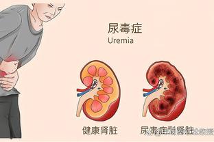 新利体育平台首页网址是多少截图1